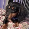 Judy's profile picture