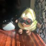 beaujolais's profile picture