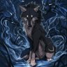 Prince Thundara wolf 的头像