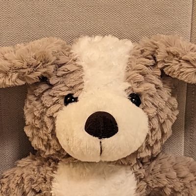 hachi_2311's profile picture