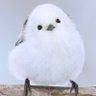 miwako's profile picture