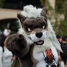 Profilbild von 🐾闇狼Rouan🐾