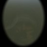 Profilbild von hHarVv