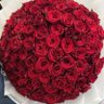 محب الوطن's profile picture