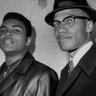 Profilbild von Malcolmx