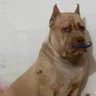 Depressão c/ bigode's profile picture