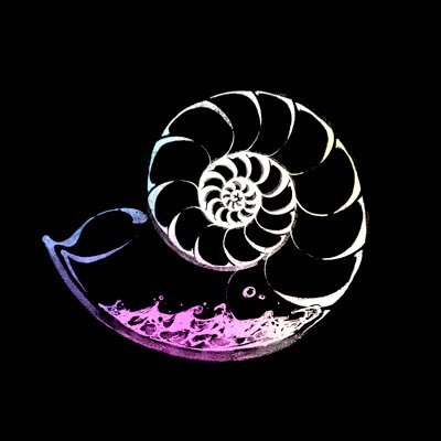 undo_n_redo's profile picture