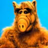 Profilbild von Boris