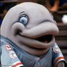 Profilbild von 🐬mrbunglez🐬