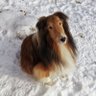 Marc K profil fotoğrafı