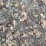 Фото профиля DannyHouse