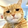 Sasat98's profile picture