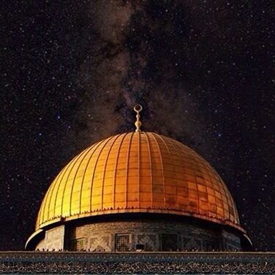 P_TBUM's profile picture