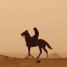 Фото профиля أبو البراء