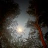 SassyMoonlight's profile picture