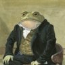 Distressed Frog 的头像