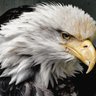 Sam Kahn's profile picture