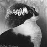 Diana Dee Light ☮♥️🌮's profile picture