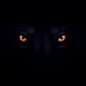 The Lone_Wolf ็ๅคดๅ