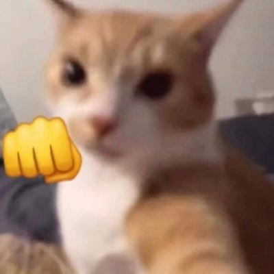gcfbdvg's profile picture