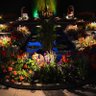 the midnight gardener's profile picture