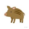 うり's profile picture