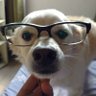 @ROTi3H ツ's profile picture