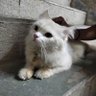 jeevan profil fotoğrafı