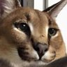 SrPunPun18's profile picture