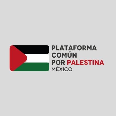 PLATAFORMA COMÚN POR PALESTINA's profile picture
