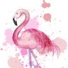 flamingo 的头像