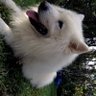 Hola_Holi profil fotoğrafı