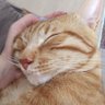 Tekila's profile picture