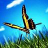 Pierpaolo's profile picture