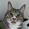 shinkun 的头像