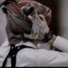 Profilbild von ♕•آلَزٍعٌيَـــــــــــــــمً•♕