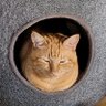Walter Brink's profile picture