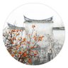 meinthesea(互fo互赞,回关超快) profil fotoğrafı