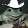 Profilbild von Banditfrog