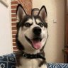 brutalrick profil fotoğrafı