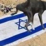 أنا بن الشريف 的头像