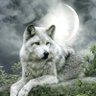 ウルフ "The man who dances with wolves."「狼と踊る男」's profile picture