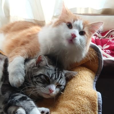 姫と空😻😽's profile picture