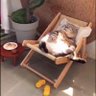 popeye's profile picture