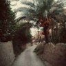Profilbild von صلاح الدين العراقي