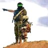 Ahmed_amin's profile picture