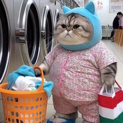 🐱แมวยักษ์🐻‍❄️'s profile picture