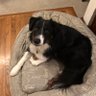 Hans's profile picture