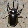 Profilbild von Beneae wish