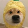 Profilbild von marryone